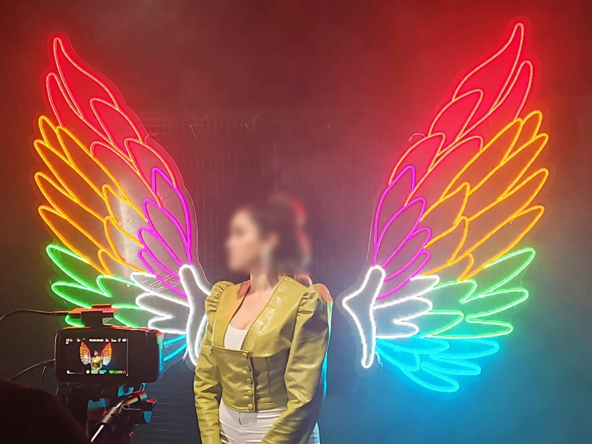 Neón LED alas de ángel multicolor — XONA LED