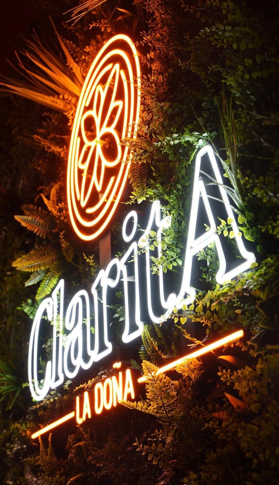 Logo corporativo en neón LED — XONA LED